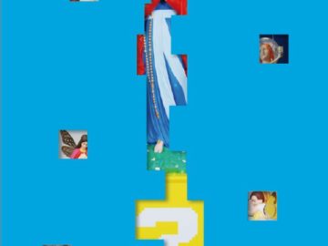 Soasig Chamaillard, Nouvelles Apparitions, Couverture