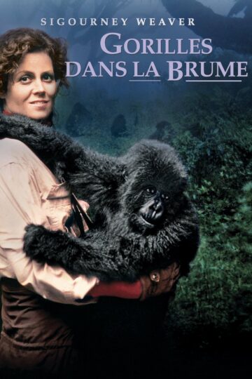 Affiche du film "Gorilles dans la brume"