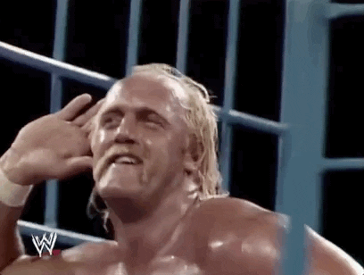 hulk-hogan.gif
